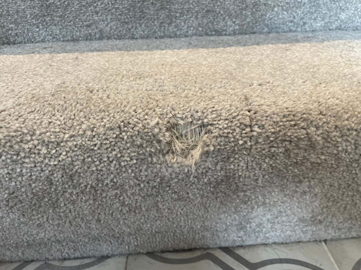 Carpet repair main image