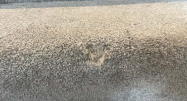 Carpet repair main image