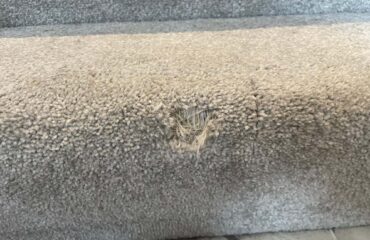 Carpet repair main image